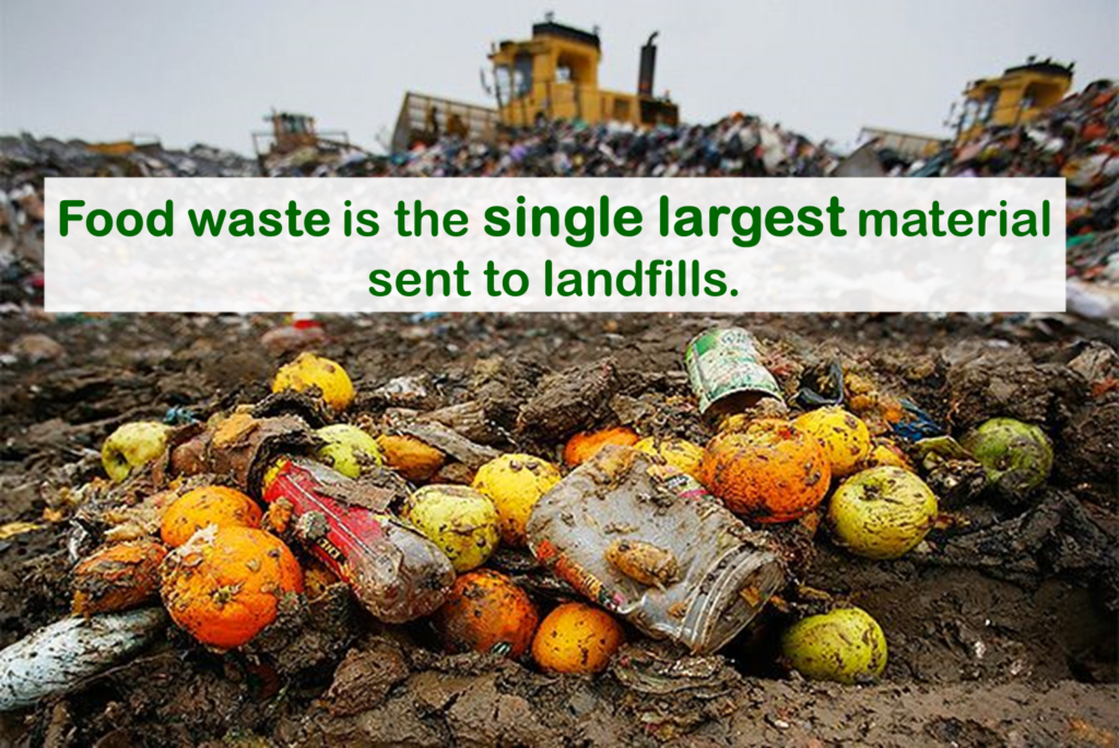 food-waste-landfill-fact-welcome-to-makeover-my-leftover